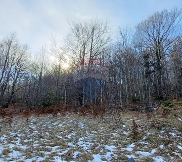 Bribir, Veli Laz - građevinski teren 2930 m2 - cover