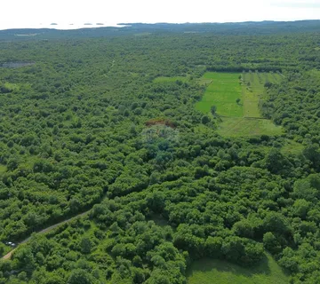  ISTRA, BALE - Povoljno poljoprivredno zemljište  - cover