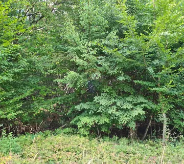 Zvoneća, Lisina - negrađevinsko zemljište (šuma) površine 2720 m2 - cover