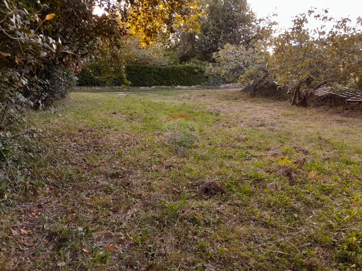 Fotografija