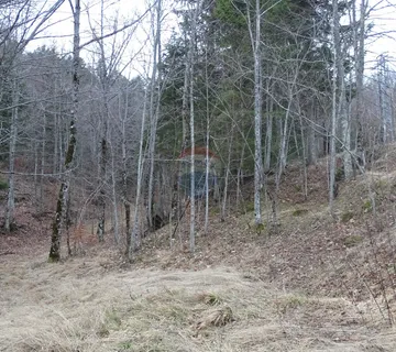 Ravna gora-šuma - cover