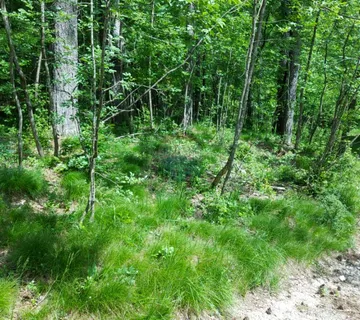 Klana - negrađevinsko zemljište - cover