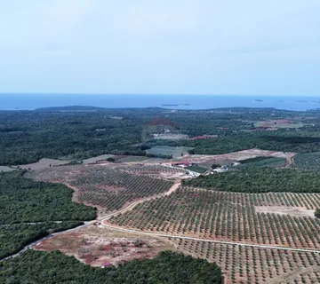 Istra - Bale - zemljište sa ucrtanom kućom - cover