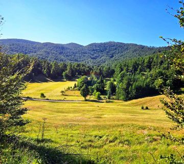 Lepenice - Jelenje, građevinski teren od 5004m2 - cover