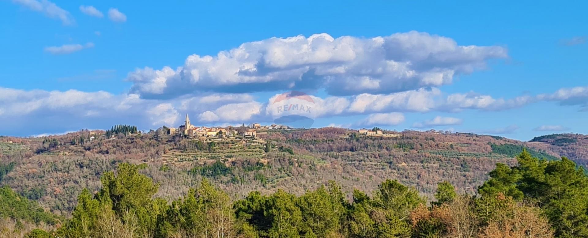 Fotografija