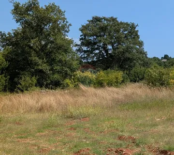 Istra, Rovinj okolica - građevinska parcela na osami 809m2 - cover