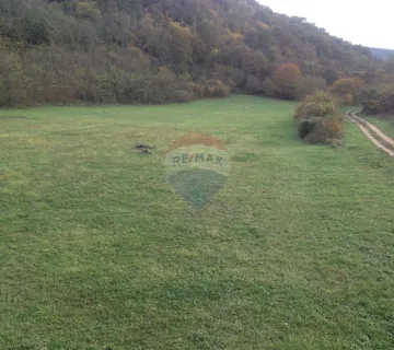 Kanfanar,Vidulini-lijepo poljoprivredno zemljište-13270m2 - cover