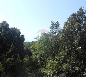 Istra, Marčana, Peruški, šuma - cover