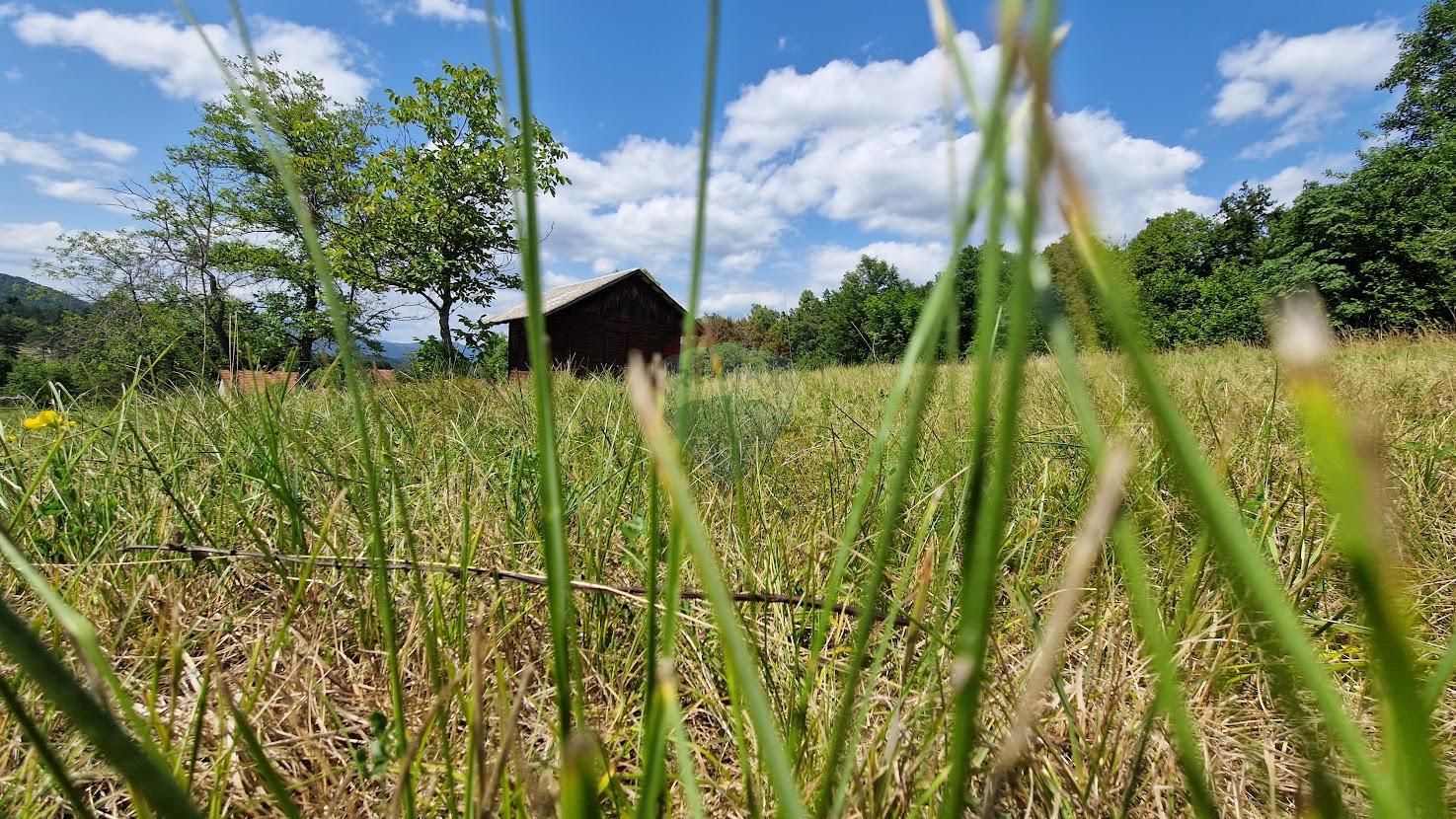 Fotografija