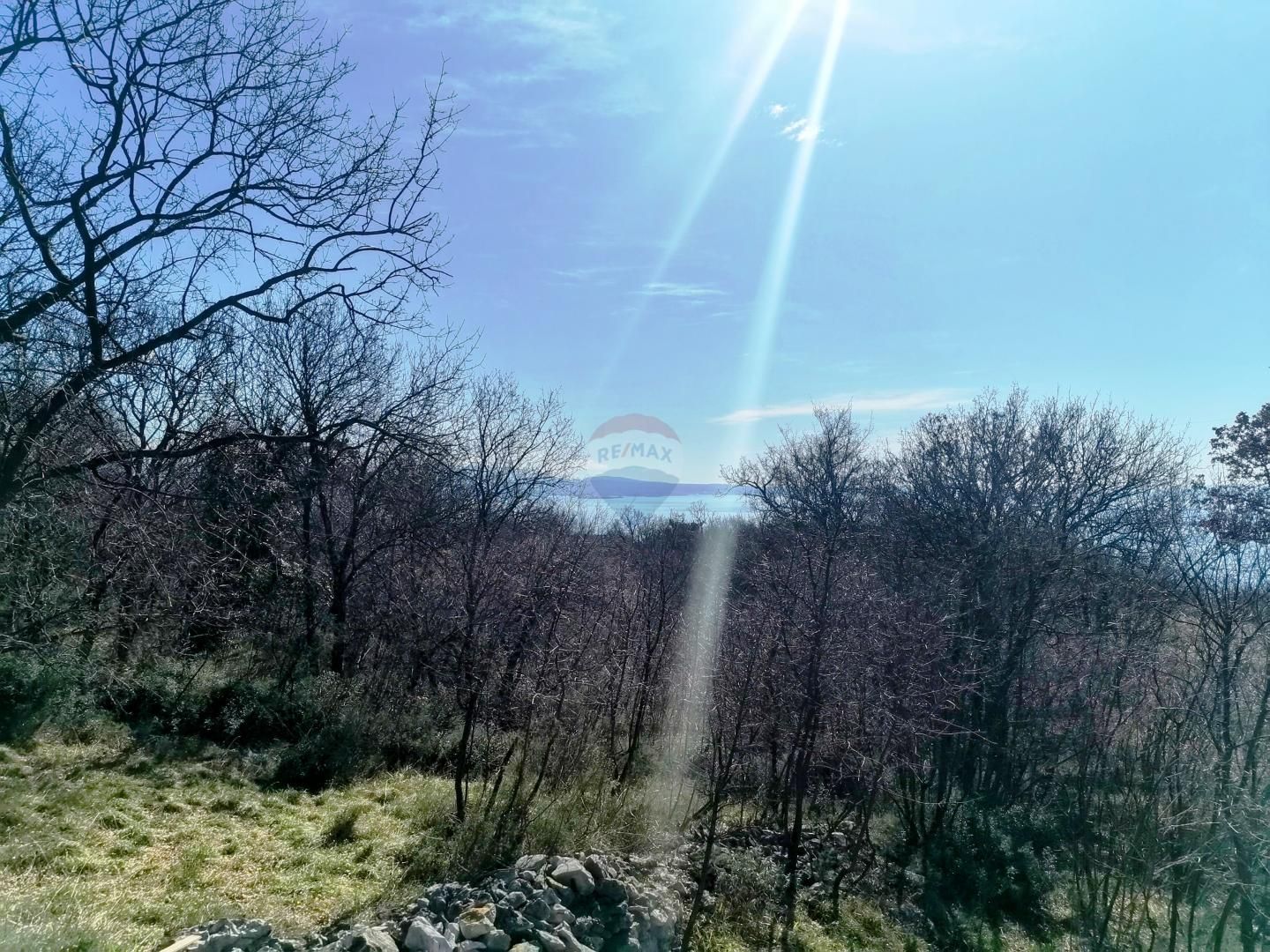 Fotografija