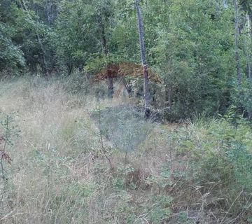 Dobreč - Šuma od 7.226m2 sa građevinskom česticom od 41m2 - cover