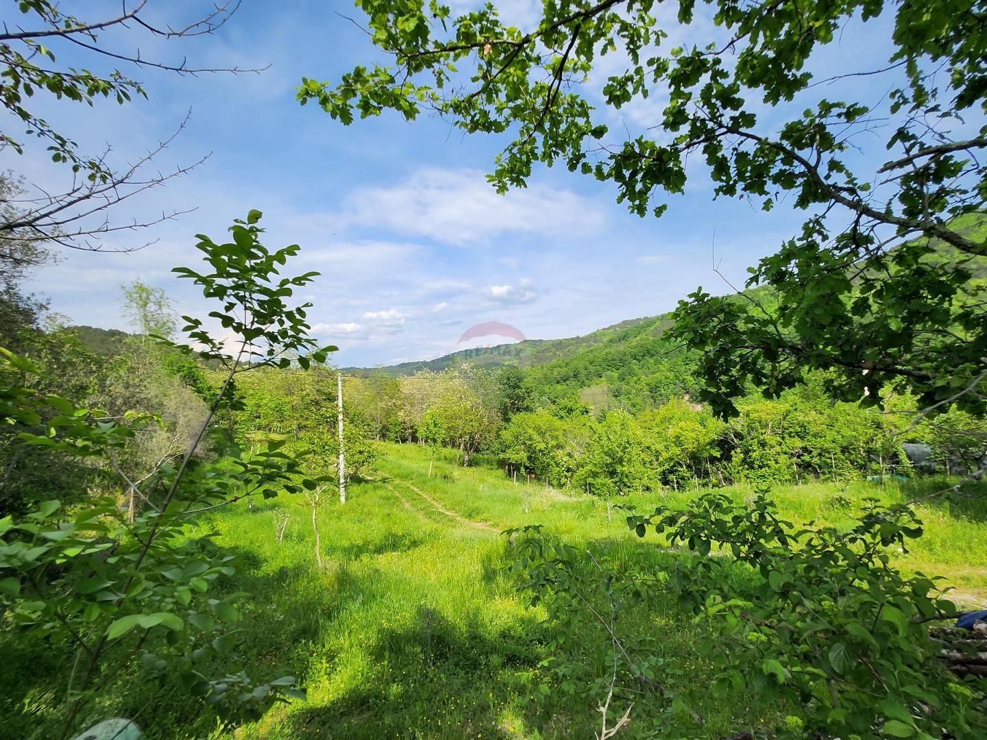 Fotografija