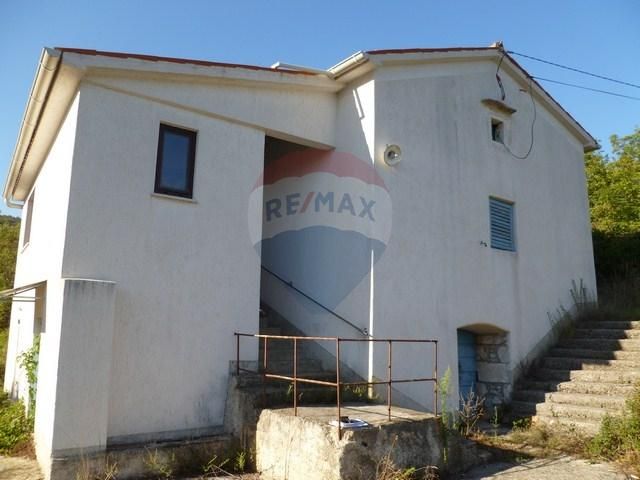 Fotografija