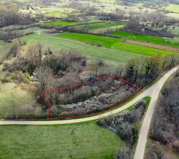 Istra, Žminj okolica - građevinsko zemljište 2200 m2 - cover