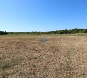 POREČ, okolica- poljoprivredno zemljište - cover