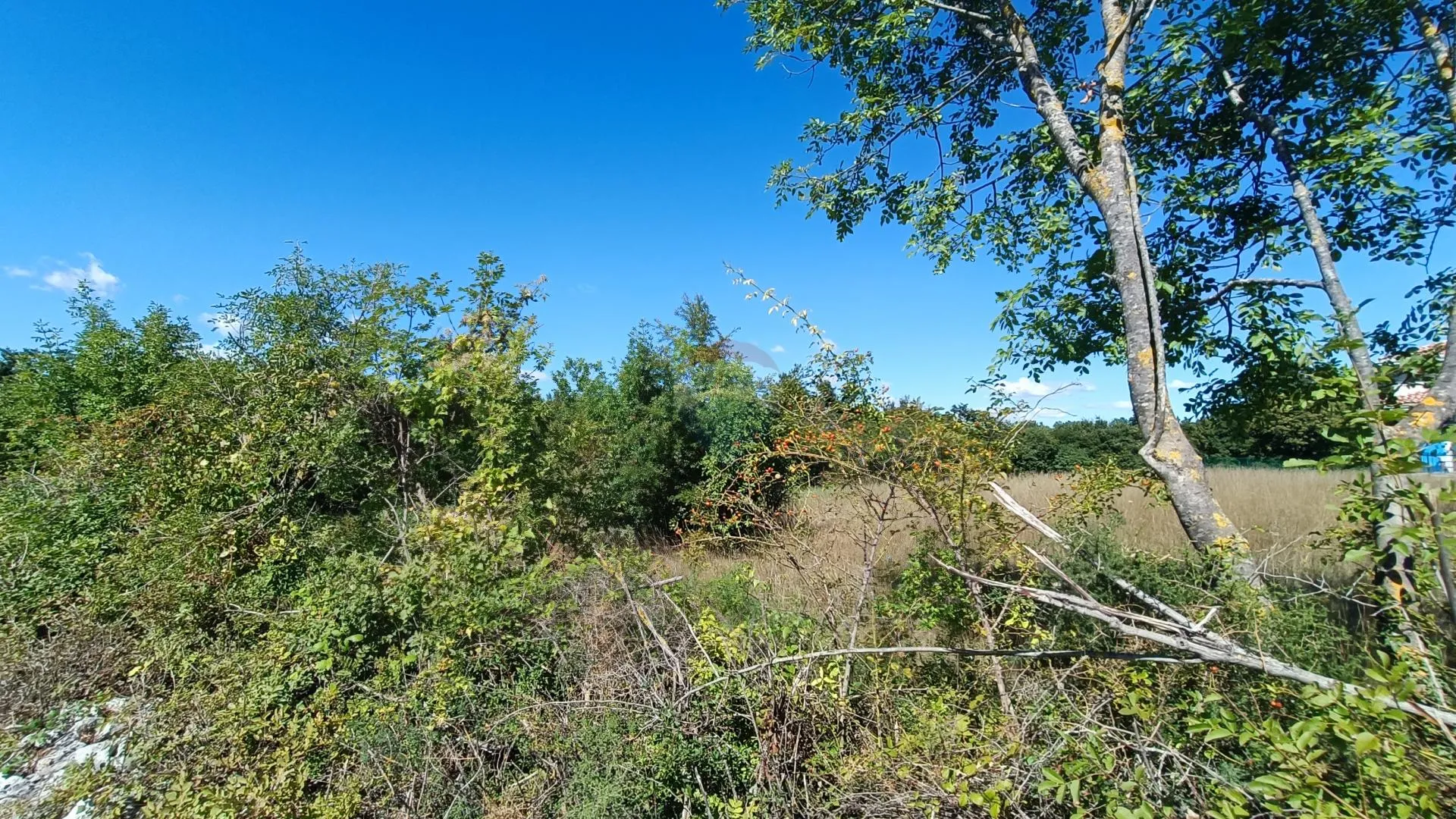 Istra, Žminj okolica - građevinsko zemljište - cover