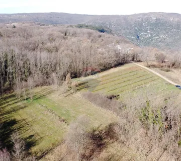 ISTRA, LABIN - Građevinsko-poljoprivredno zemljište 5750m2 - cover