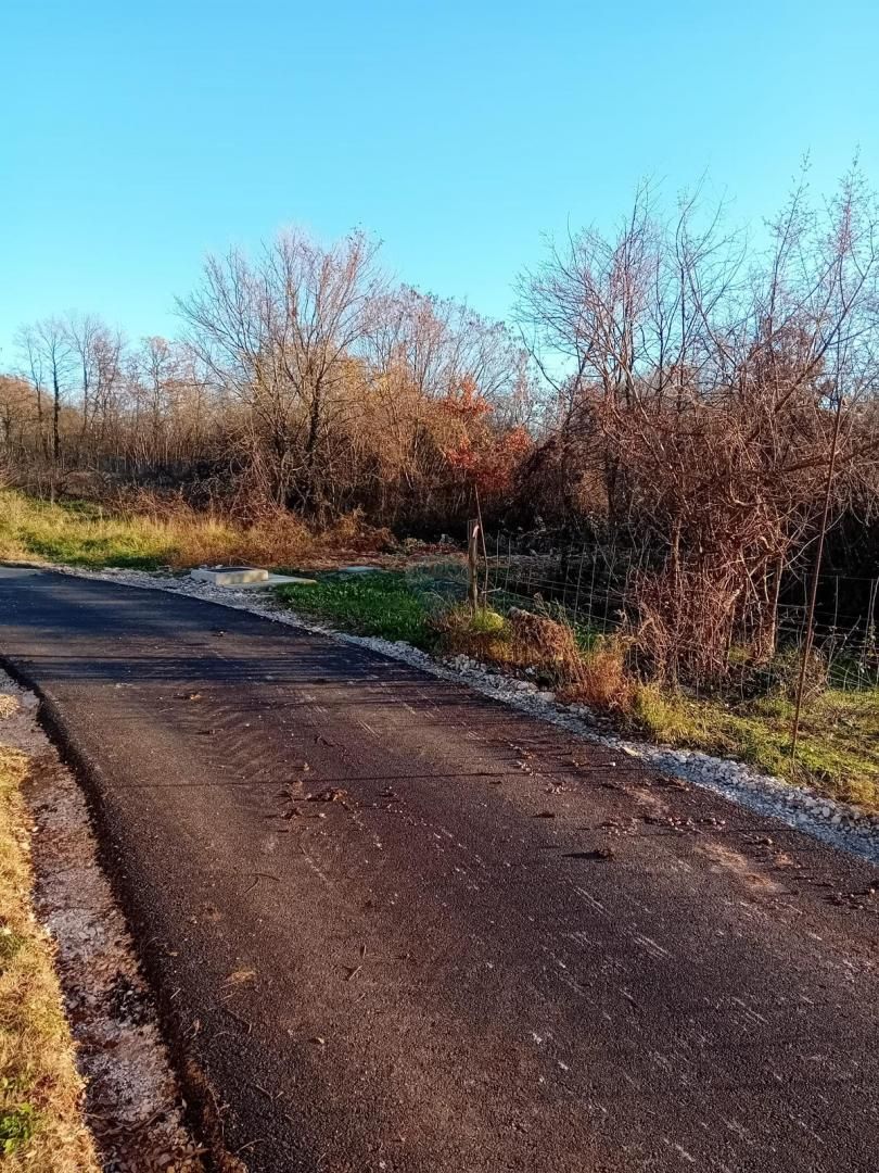 Fotografija