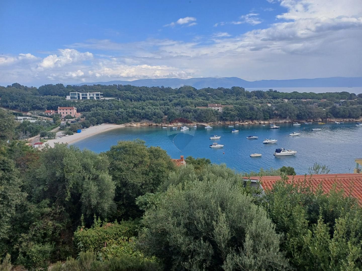 Fotografija