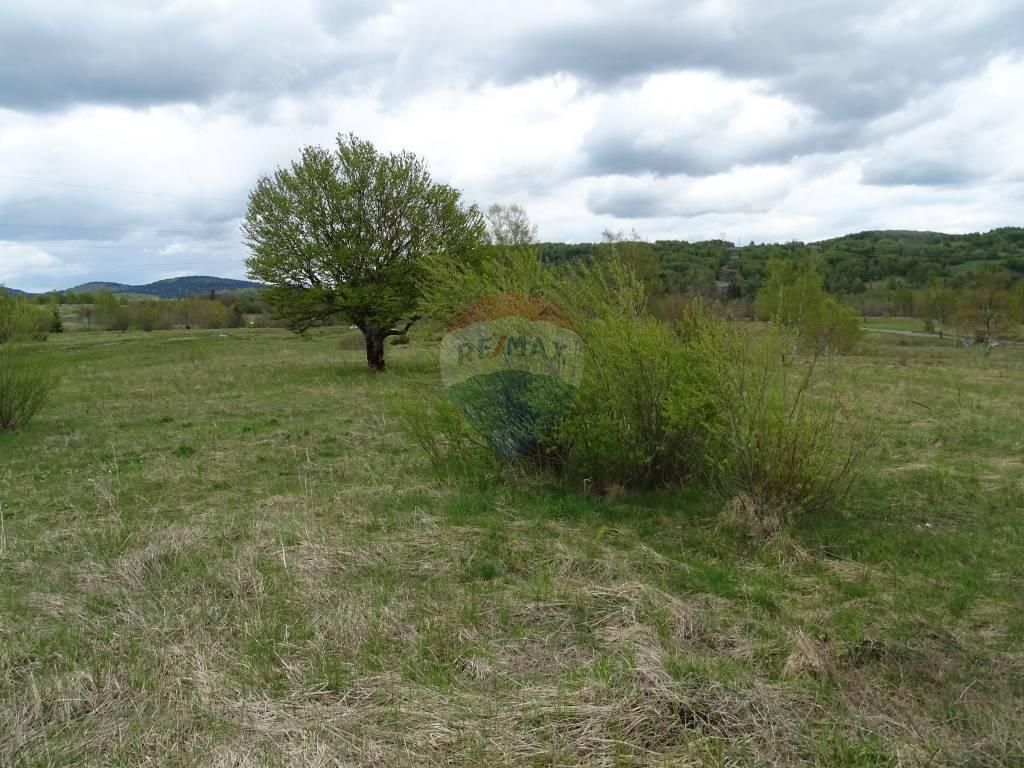 Fotografija