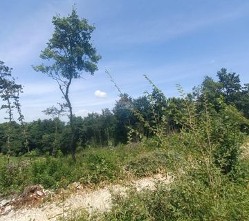 SVeti Lovreč. okolica, pravilno građevinsko zemljište - cover
