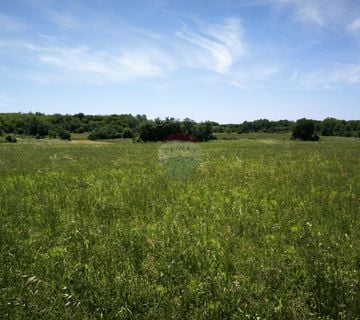 Istra, Kaštelir, poljoprivredno zemljište 32.000 m2 - cover