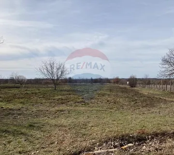 Višnjan, poljoprivredno zemljište - cover