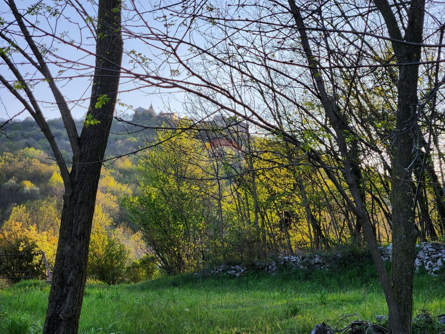 Fotografija