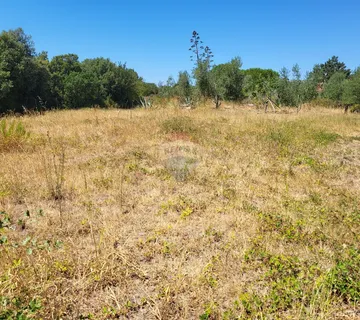 Istra, Barbariga, građevinsko zemljište sa pogledom na more - cover