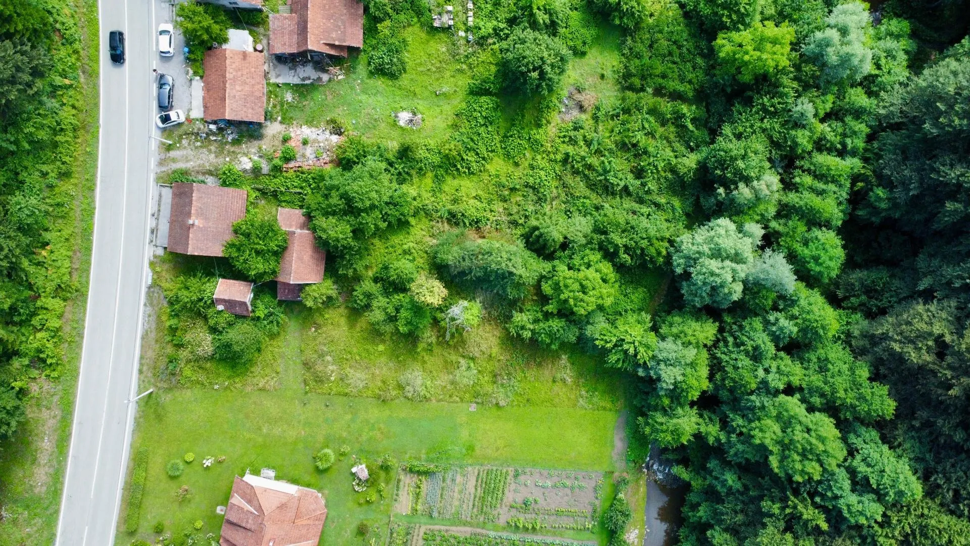 Fotografija