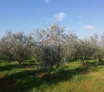 Istra, Novigrad - Poljoprivredno zemljište sa legaliziranim objektom - cover