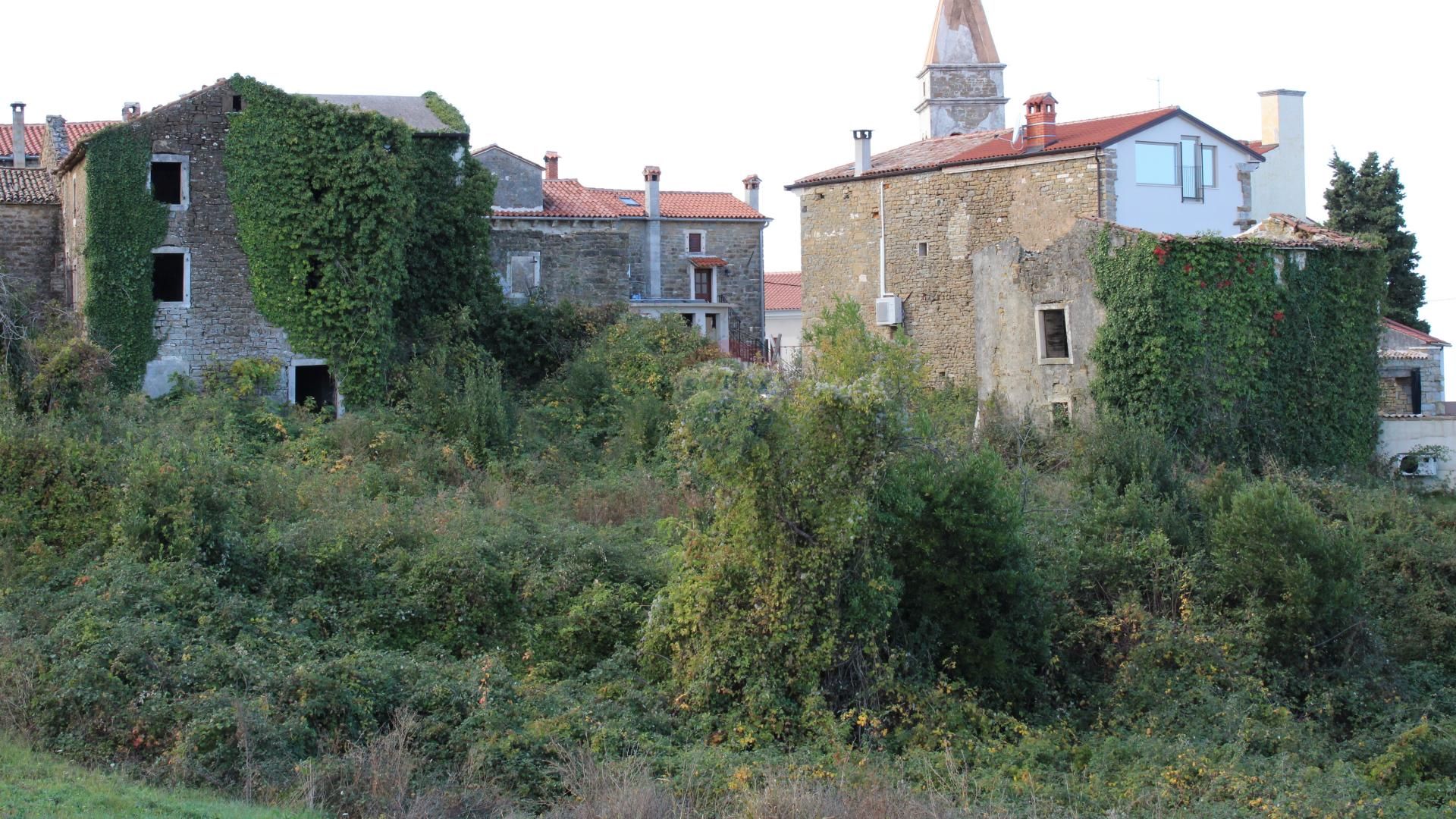 Fotografija