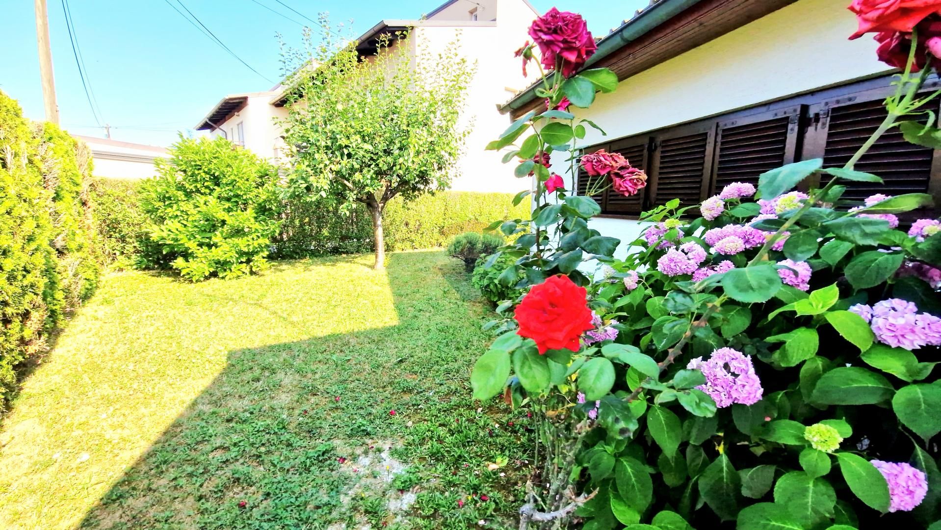 Fotografija