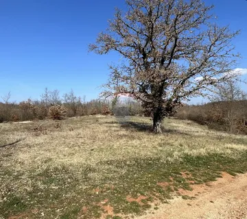Pazin - okolica, građevinsko zemljište u mirnom mjestu - cover