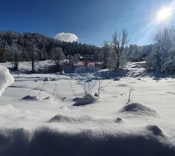Stara Sušica - poljoprivredni teren - cover
