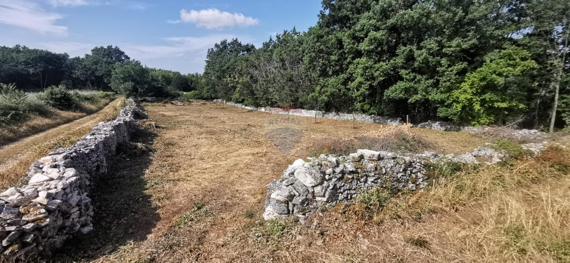 Fotografija