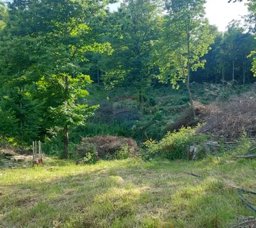 Klana - negrađevinsko zemljište, šuma - cover