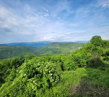 Istra, Buzet, Sovinak - ne građevinsko zemljište 25,70 ha - cover