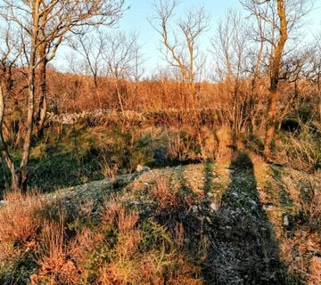 Krasica, poljoprivredno zemljište cca. 2500m2 - cover