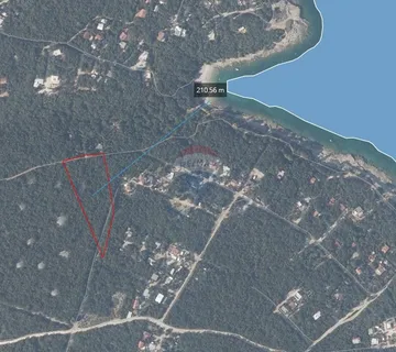 Istra, Peruški okolica, šuma blizu mora - cover