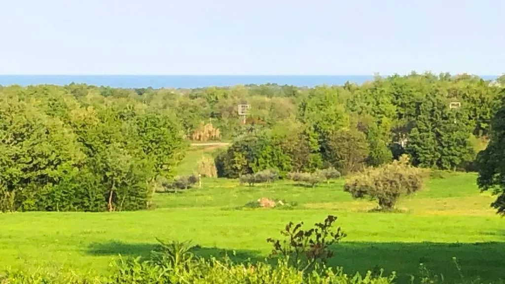 Istra, Novigrad - građevinsko zemljište s pogledom na more - cover