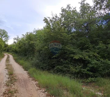 Istra,Korenići 1km od sela,1000m2 - cover