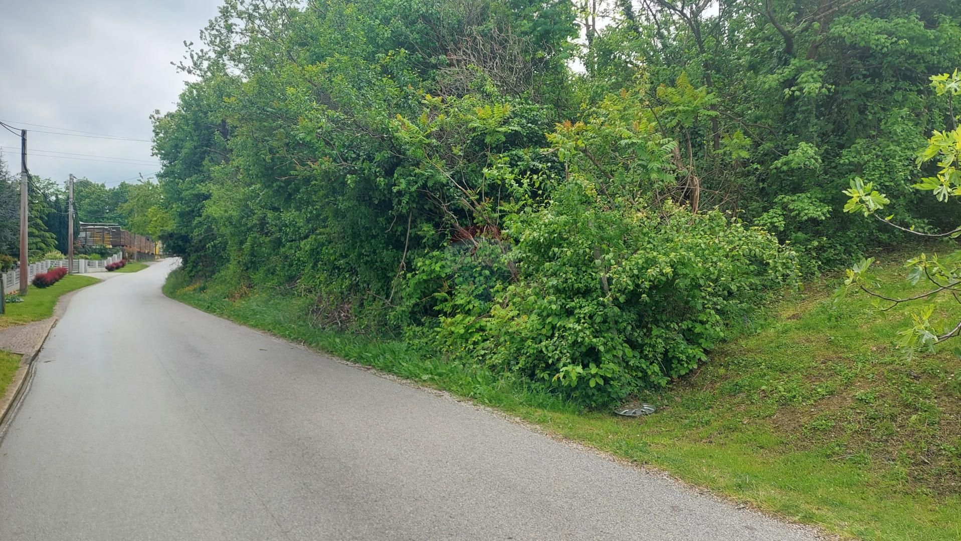 Fotografija