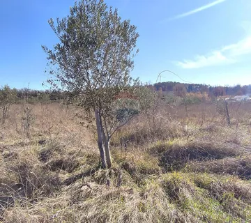 Istra,okolica Poreča,zemljšte sa malinama - cover