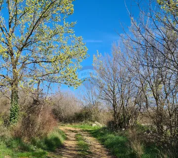 Lovreč: Poljoprivredno zemljište s priključkom vode - cover