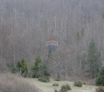 Sunger-Šuma - cover