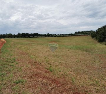 Kaštelir, lijepo poljoprivredno zemljište od 5430 m2  - cover