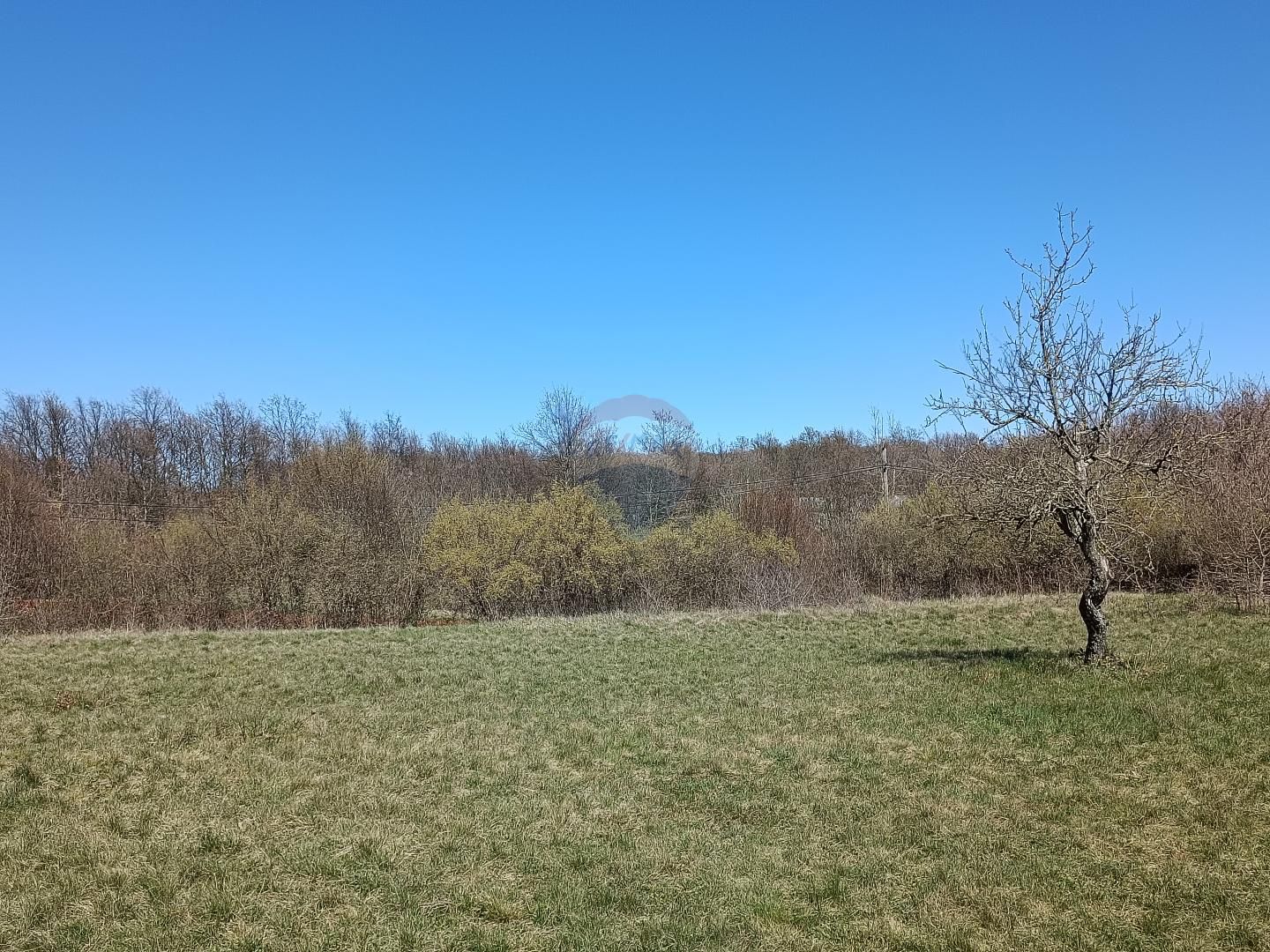 Fotografija