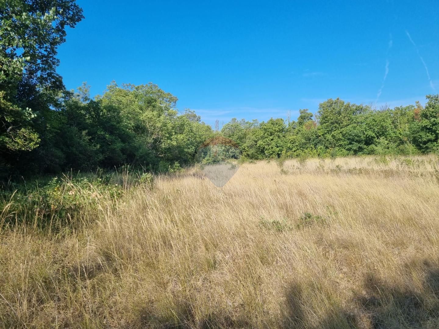 Fotografija