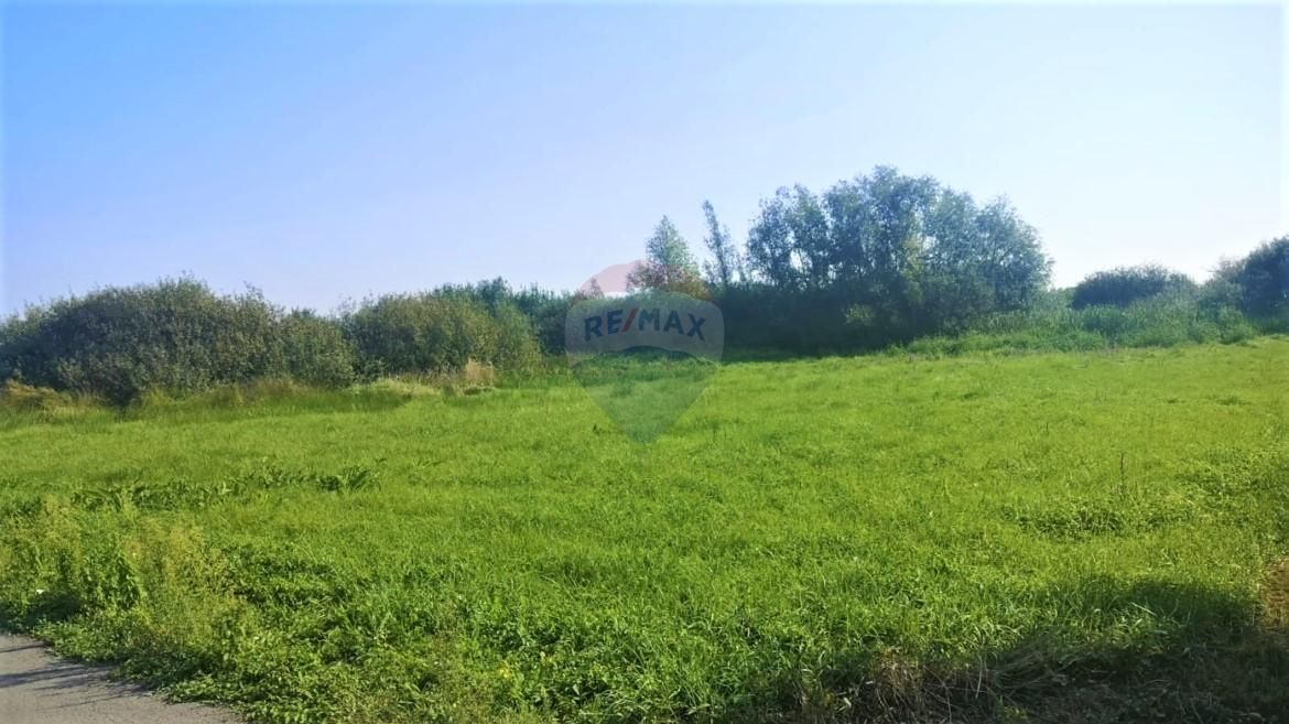 Fotografija